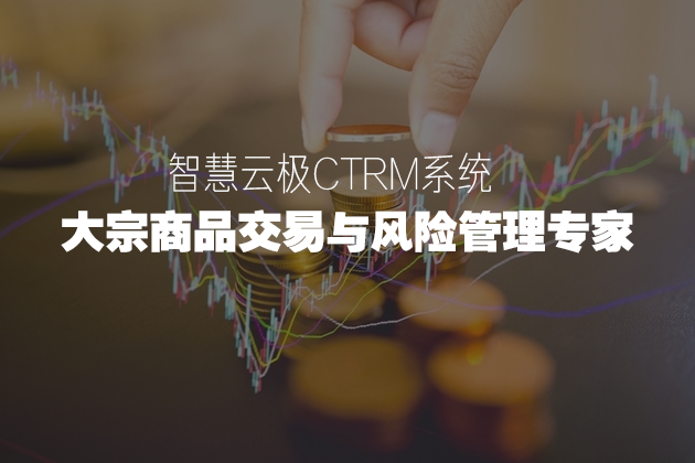 智慧云极