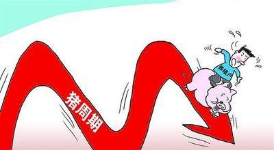 智慧云极
